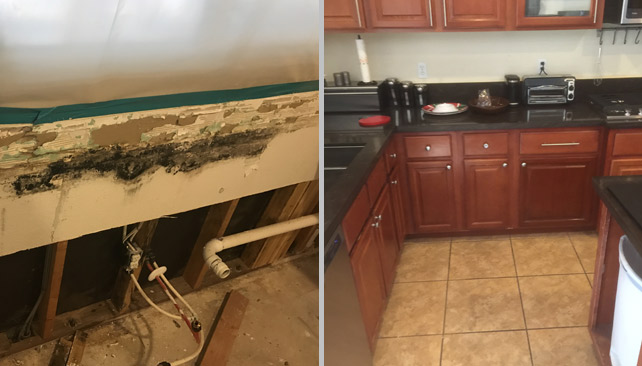 Mold Damage Before & After