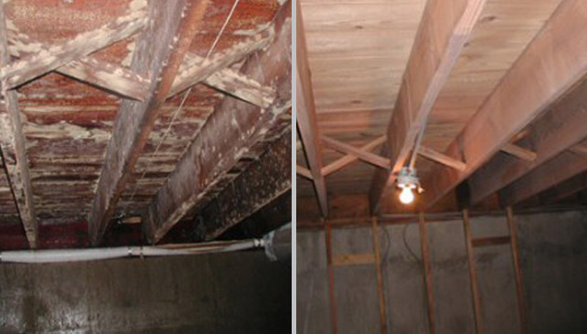 Mold Damage Before & After