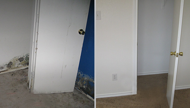 Mold Damage Before & After